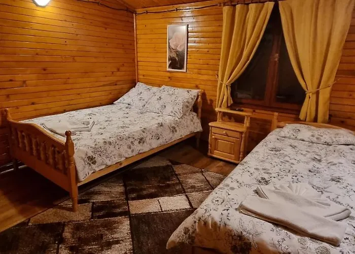 Pensjonat The King Borowec